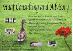 Haaf Consulting and Advisory