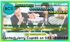 BCS Business Consulting Services