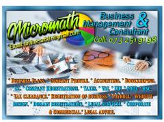 Micromath Business & Management Consultant