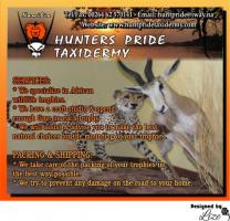 Hunters Pride Taxidermy