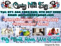 Cleaning-Maid-Easy