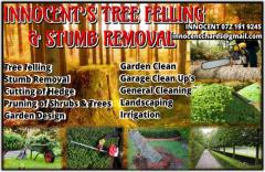 Innocent's Tree Felling & Stumb Removal