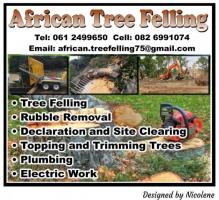 African Tree Felling