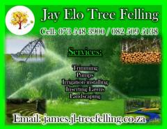Jay Elo Tree Felling