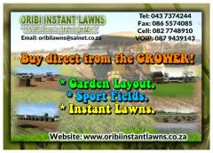 Oribi Instant Lawns