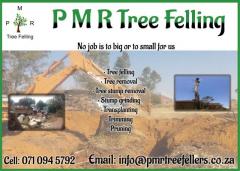 P M R Tree Felling