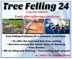 Tree Felling 24