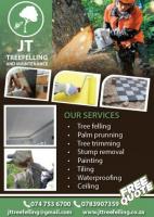 JT Tree felling and Maintenance