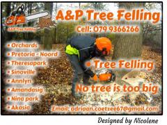 A&P Tree Felling